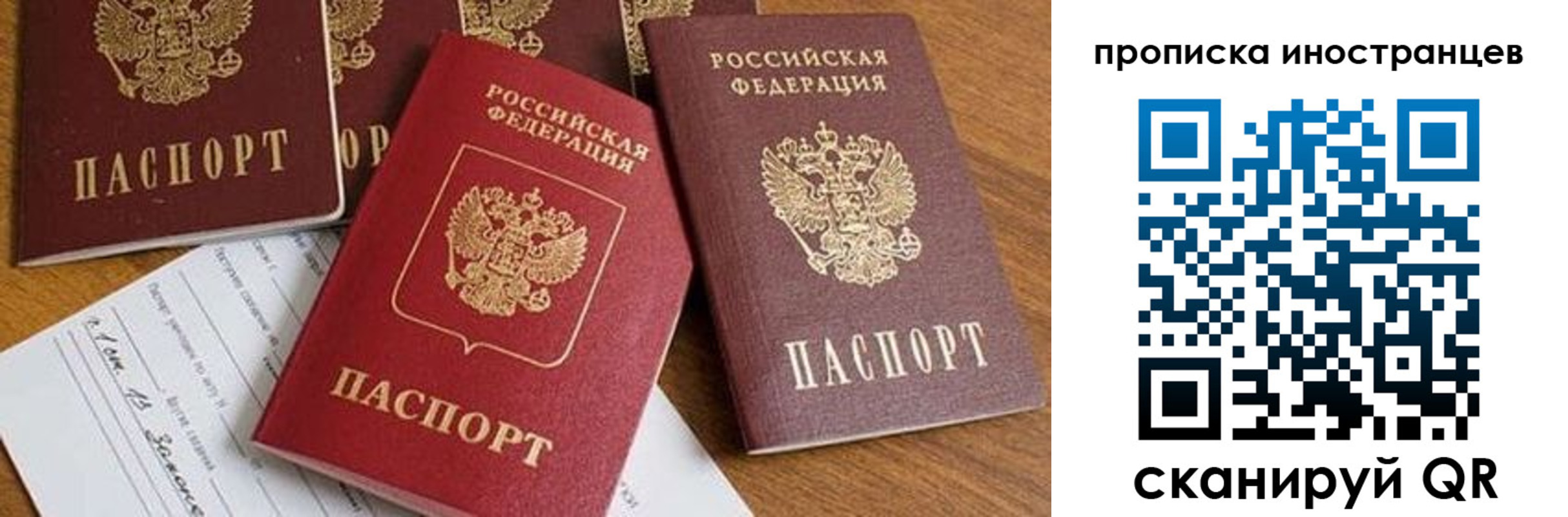прописка в Александровске-Сахалинском